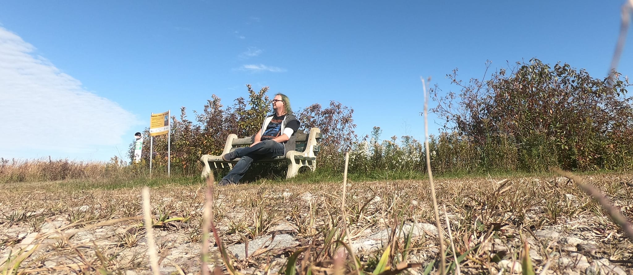 A man with long green hair sits on a bench on a narrow dirt road through a wetland